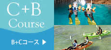 カヤック＆シュノーケリング ダブルで楽しむ沖縄の海満喫プラン！
