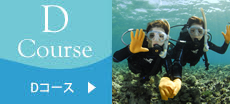 真栄田岬で体験ダイビング！ 熱帯魚と遊ぶ餌付け体験ダイビング
